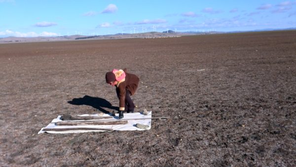 Lynne Flemons Weereewa